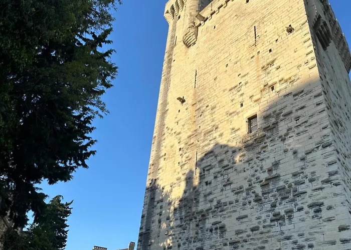 Charmante Petite Maison Avec Vue Panoramique, En Centre Historique, Proche D'avignon, Ancienne, Renovee, Climatisee, Terrasse, Parking Public Gratuit Prázdninový dům Villeneuve-lès-Avignon