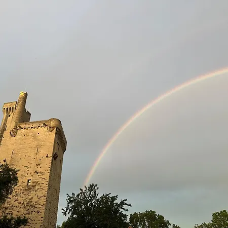 Charmante Petite Maison Avec Vue Panoramique, En Centre Historique, Proche D'avignon, Ancienne, Renovee, Climatisee, Terrasse, Parking Public Gratuit Vakantiehuis *