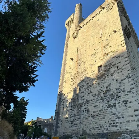 Charmante Petite Maison Avec Vue Panoramique, En Centre Historique, Proche D'avignon, Ancienne, Renovee, Climatisee, Wi-fi, Terrasse, Parking Public Gratuit בית נופש Villeneuve-lès-Avignon