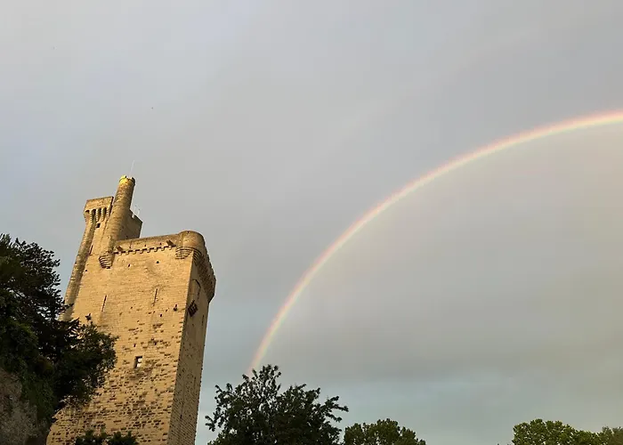 Charmante Petite Maison Avec Vue Panoramique, En Centre Historique, Proche D'avignon, Ancienne, Renovee, Climatisee, Terrasse, Parking Public Gratuit 度假居 *